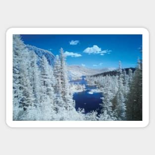 Infrared Overview Of Twin Lakes Sticker